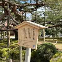 【金沢旅行】兼六園