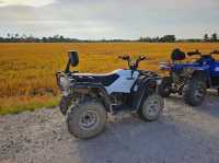 An ATV adventure at the fields of Balik Pulau