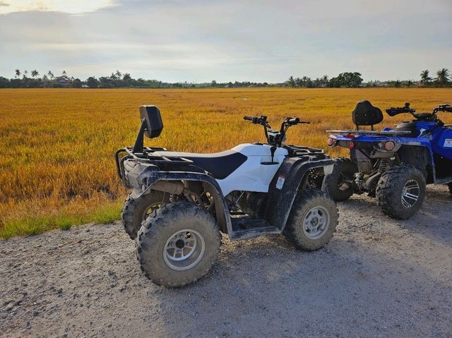 An ATV adventure at the fields of Balik Pulau