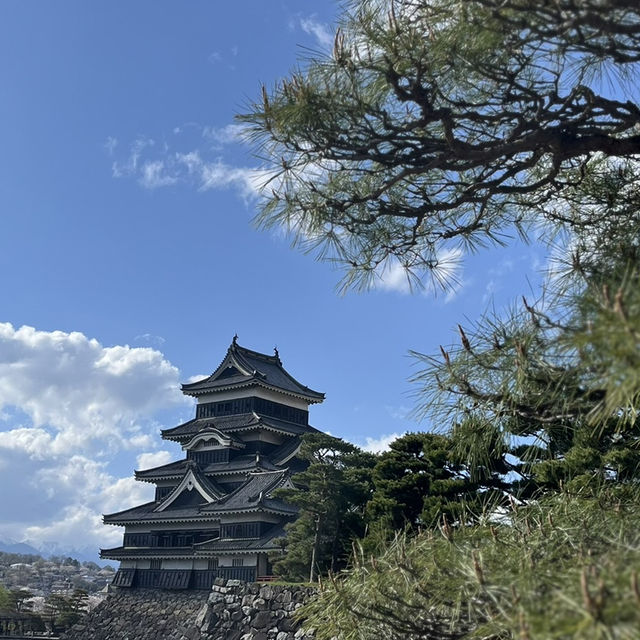 戦国時代から現存する松本城