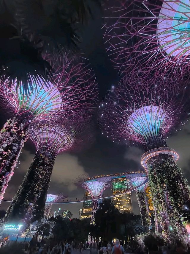 Gardens by the Bay at Night – A Beautiful Cityscape Experience