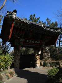 【釜山🇰🇷】釜山の歴史を感じよう