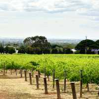 Penfolds Magill Estate Cellar Door