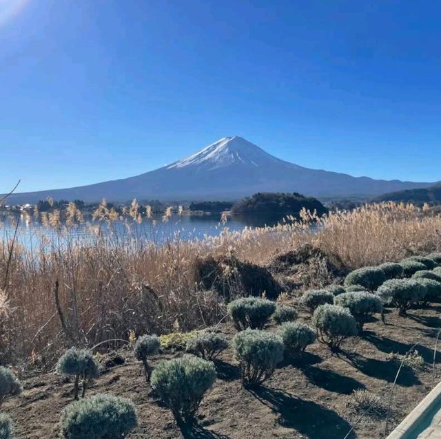 Mount Fuji