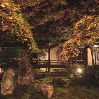 大本山·建仁寺：京都禪意的深處