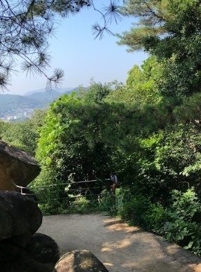 夏日遊千光寺公園：文化與自然的完美邂逅