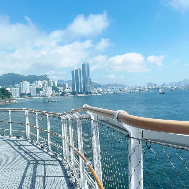 Soaring Above Busan: The Ultimate Aerial Adventure 🇰🇷