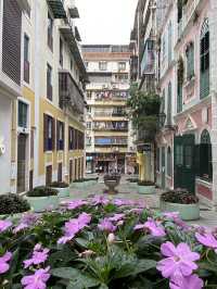 Rua Dos Ervanários: A Walk Through Macau