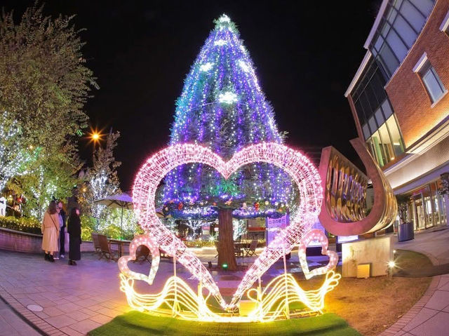 Kurume city illumination 