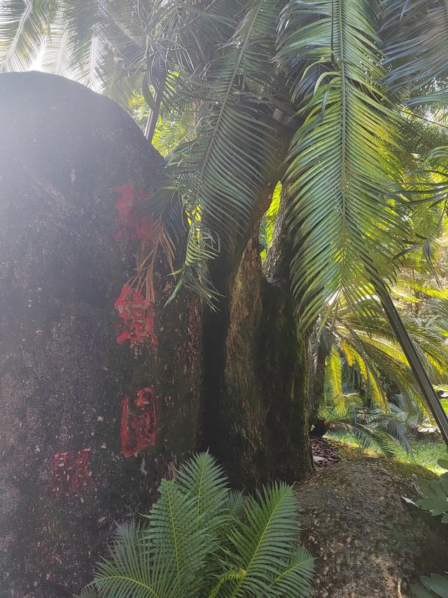 華南植物園～園區內景點介紹。