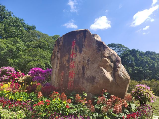 華南植物園～園區內景點介紹。