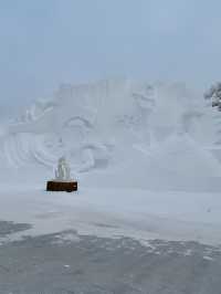 別再錯過—太陽島，一個被忽略的冰雪夢境