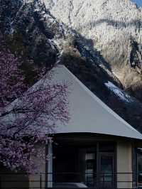 梅里雪山腳下的夢幻之宿 | 雨崩藏半山 