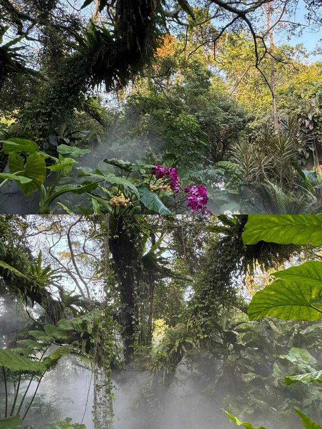 廈門園林植物園旅行攻略