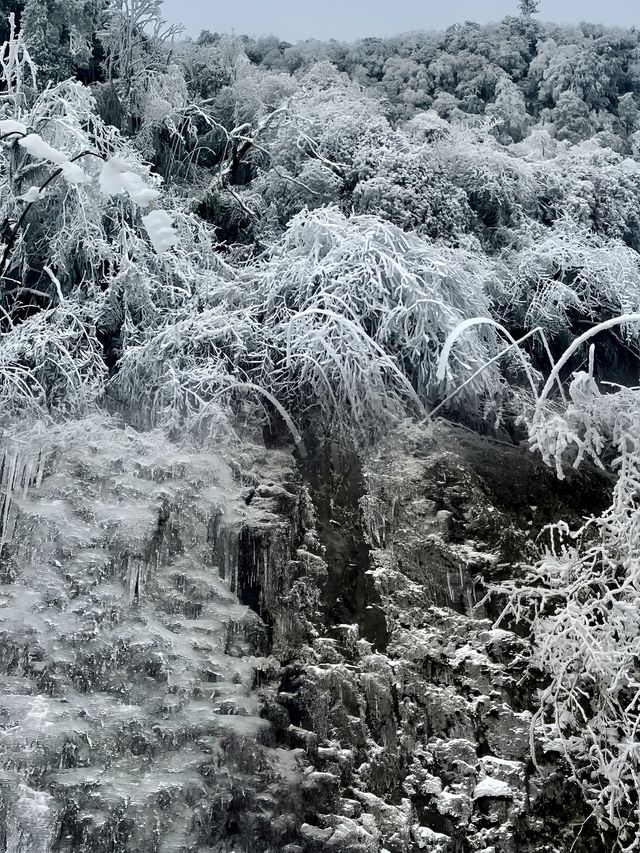 金佛山親子一日遊：冰雪歡樂之旅