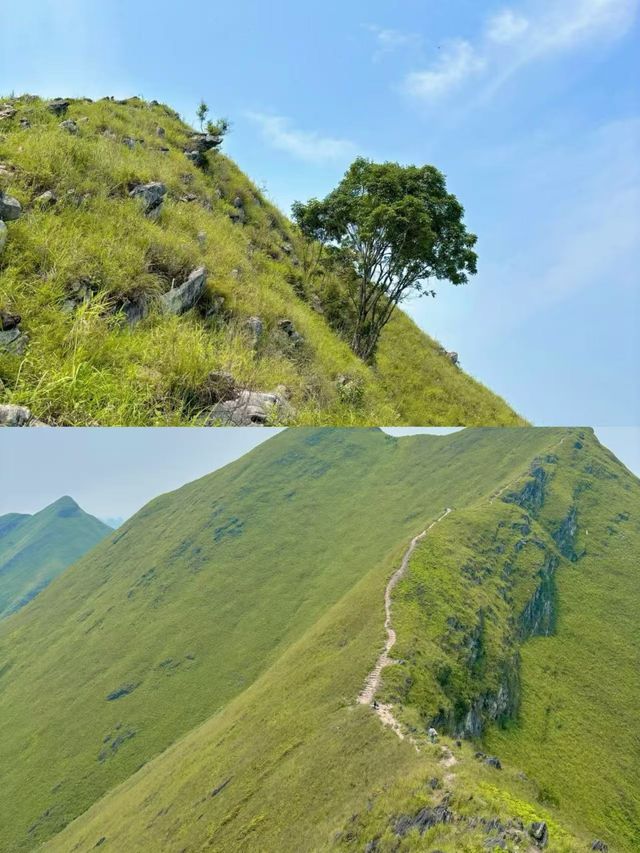 劍龍山絕美，終於來打卡劍龍山了!!!