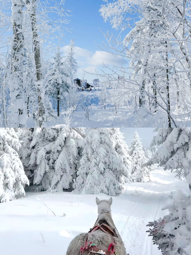 一腳開啟冰雪奇緣之旅。