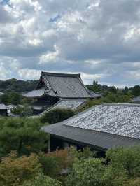 元旦邂逅日本超美旅行地等你探索