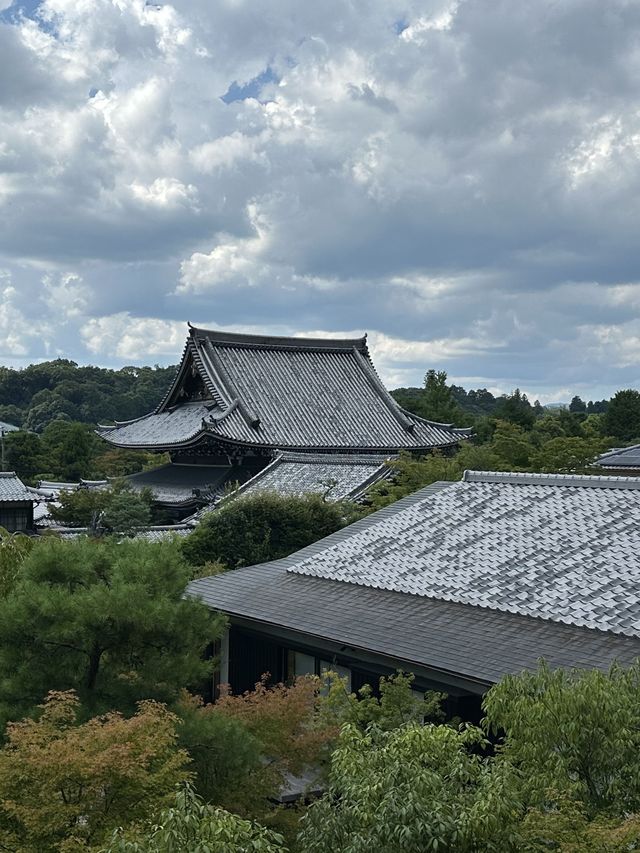 元旦邂逅日本超美旅行地等你探索