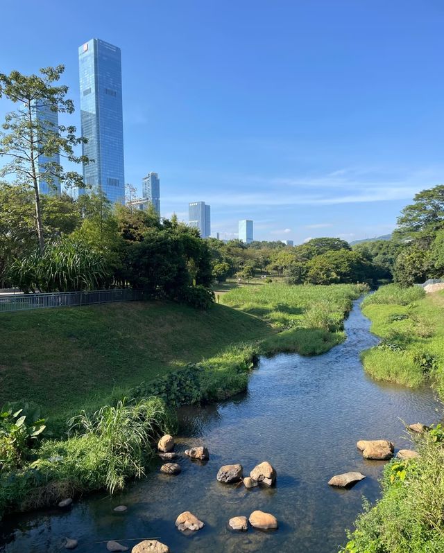 深圳中心公園，都市裡的綠野仙蹤