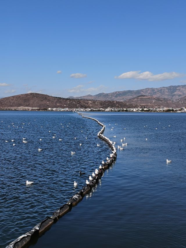 環洱海遊，我的建議是！安排好時間！