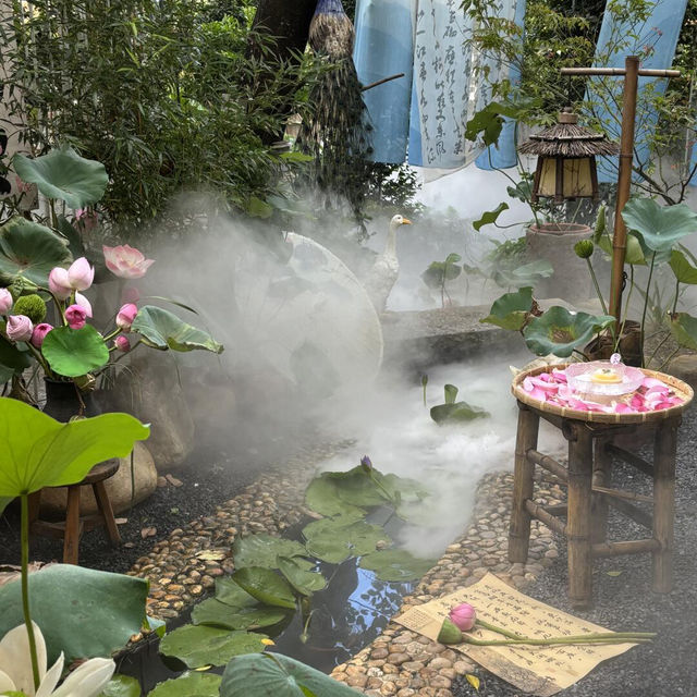 深圳豆伴花園 | 荷花主題下午茶，美到極致🪷