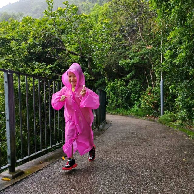 雨中行山 山頂花園