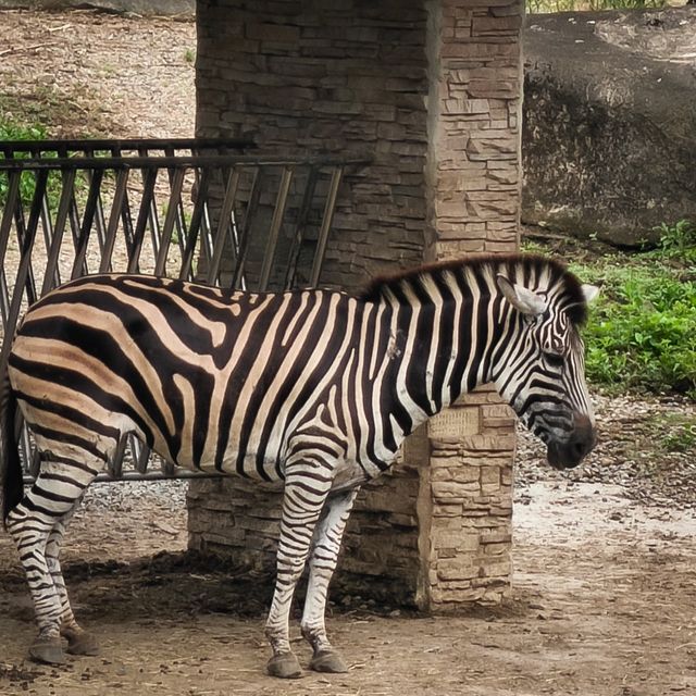 臺北市動物園｜多元化的園區｜