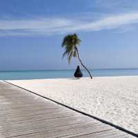 Pristine natural beauty in Maldives 