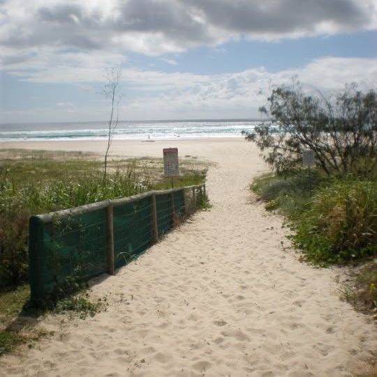 "Exploring the Iconic Beaches of the Gold Coast"