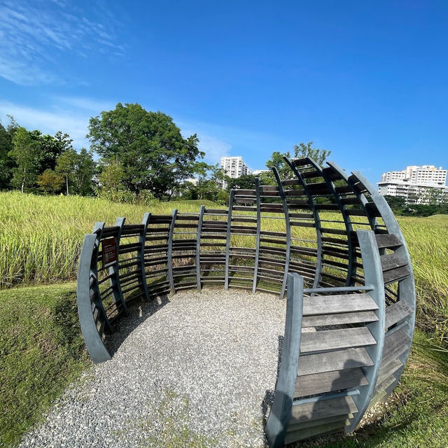 Discovering Urban Oasis in Jurong Lake Gardens