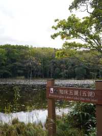 北海道｜野生動物と植物の宝庫⋆꙳世界自然遺産 知床半島