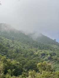 Absolutely scenic road nearby Danang 