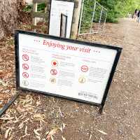 Strawberry Picking experience at Bereenberg 