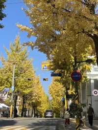 Autumn Foliage at Ewah University 