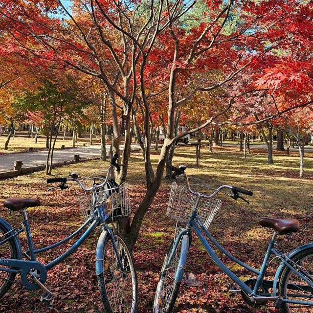 Nami Island