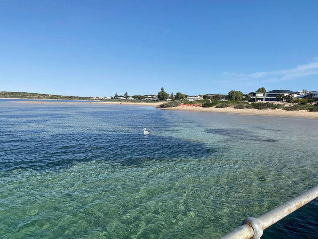 Venus Bay Caravan Park: A Beachfront Paradise on the Eyre Peninsula