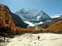 Best Autumn Viewing Experience 2/3 [Xiannairi Snow Mountain, Yading Nature Reserve]