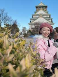 The beauty of Osaka historical Castle Park