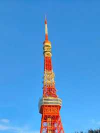 Reach New Heights: Unforgettable Views from Tokyo Tower