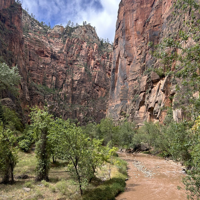 A riverside walk at Zion 