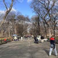 Winter in the park