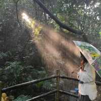 Rainforest @ Evergreen Resort Shenzhen 