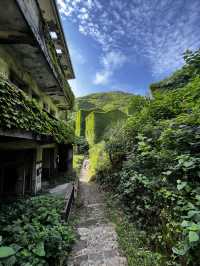 嵊山島之旅：追逐日出的軌跡，邂逅綠野仙蹤。