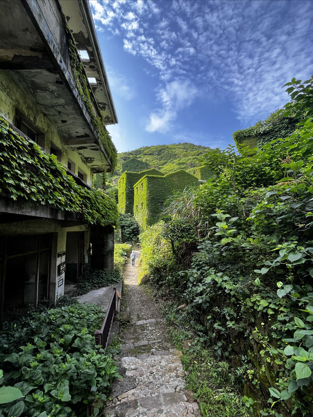 嵊山島之旅：追逐日出的軌跡，邂逅綠野仙蹤。