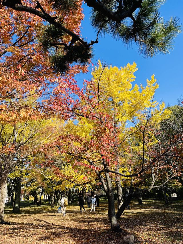 日本·和歌山城。