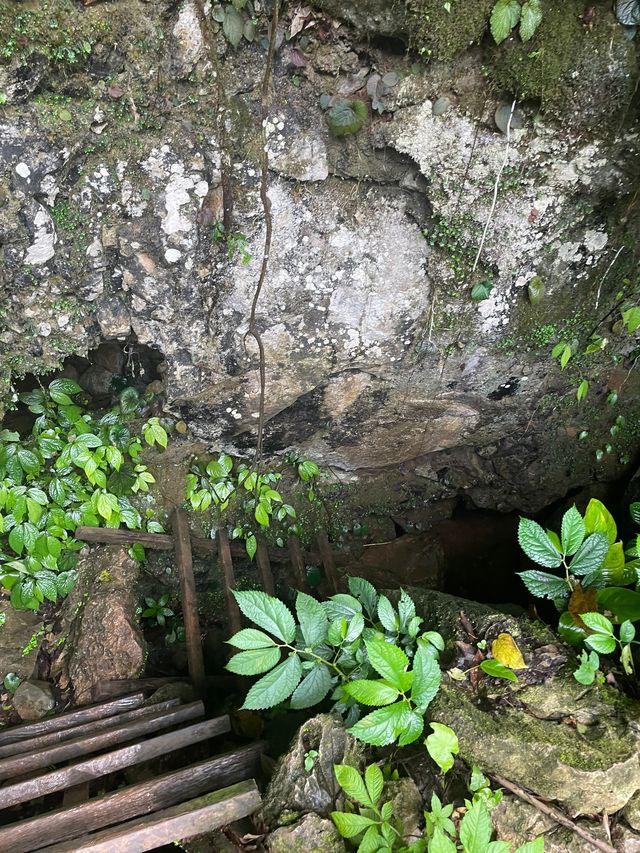 老撾冬日遊 美景暖心頭