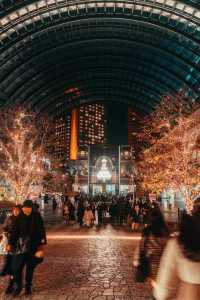 Experience the Magic of Tokyo's Christmas Illuminations