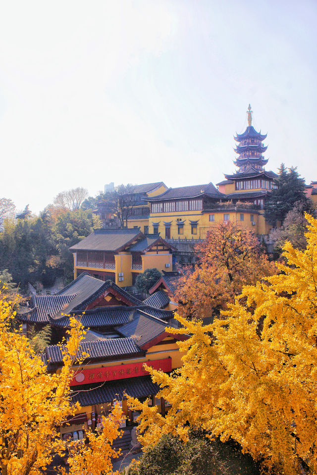 來雞鳴寺只為這一件事附雞鳴寺打卡攻略