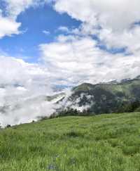 雲南老藥山，自然探秘之旅